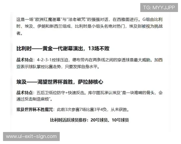 世界杯埃及伊朗现场观赛注意事项及观赛攻略，确保你的观赛体验顺利愉快